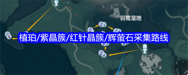 明潮种植珍珠/紫水晶串/红针串/萤石采集路线-第1张图片