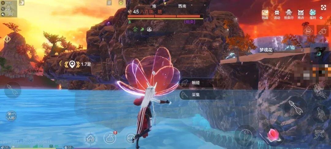 梦幻山海梦魂花在哪里？-第1张图片