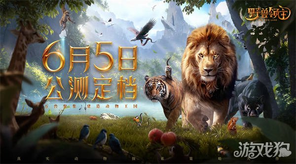 6月5日，兽主新世界公开鉴定档参与集卡赢取丰厚福利。-第1张图片