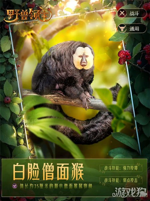 新世界白面僧面猴好用吗？-第1张图片