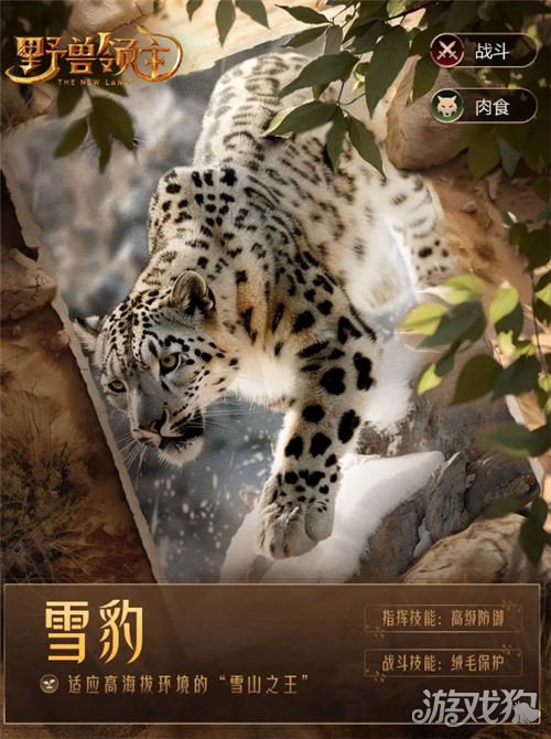 兽主新世界雪豹强猫颜值天花板-第1张图片