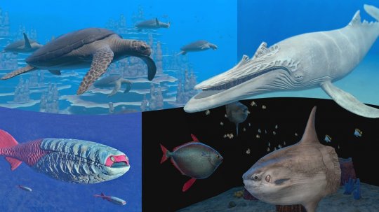 “永恒的蓝色流光”登陆Switch出售美丽的海洋探索-第2张图片
