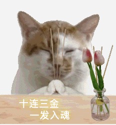 仓库管理再就业，重生的我在泰空战场当奶妈。-第1张图片