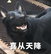 仓库管理再就业，重生的我在泰空战场当奶妈。-第4张图片