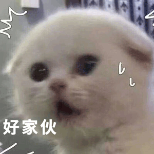 老大哥狂肝三年游戏升满级给出官方建议。全球直播仍被忽视。-第5张图片 老大哥狂肝三年游戏升满级给出官方建议。全球直播仍被忽视。-第5张图片