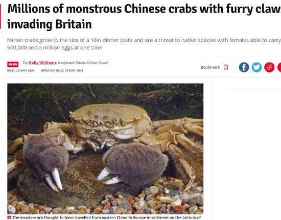 中国大闸蟹正在入侵英国：英媒呼吁警惕生物入侵-第1张图片
