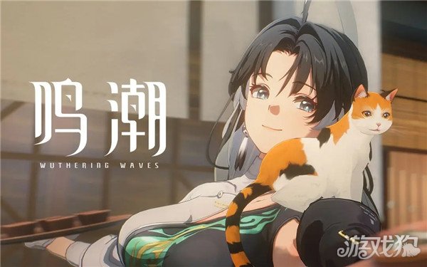 鸣潮呼啸重音怎么样 属性效果一览-第1张图片