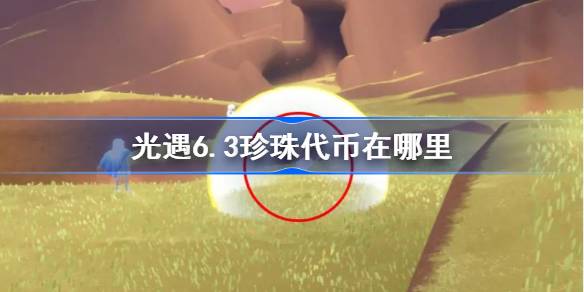 6.3珍珠信物在哪里？6月3日，自然日，光遇代币收集攻略-第1张图片